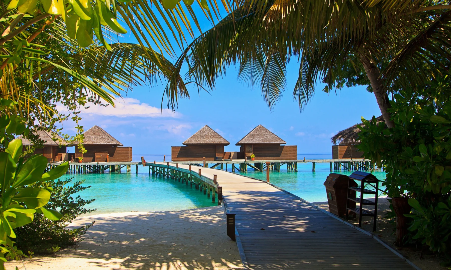 Overwater villas with tropical landscaping, showcasing boutique hotel design in a luxury resort setting.