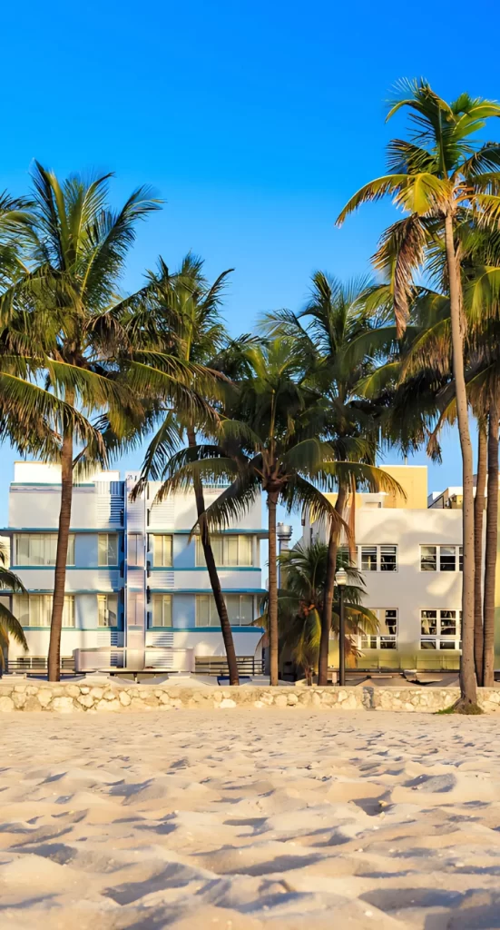 Colorful beachfront buildings surrounded by palm trees, representing luxury hospitality opportunities in coastal destinations.